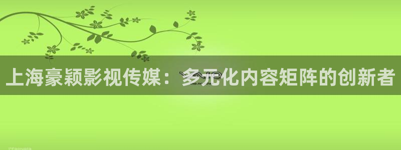 爱新视觉