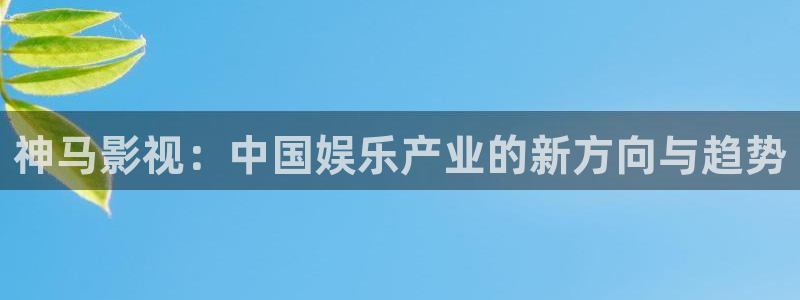 新视觉电视剧观看