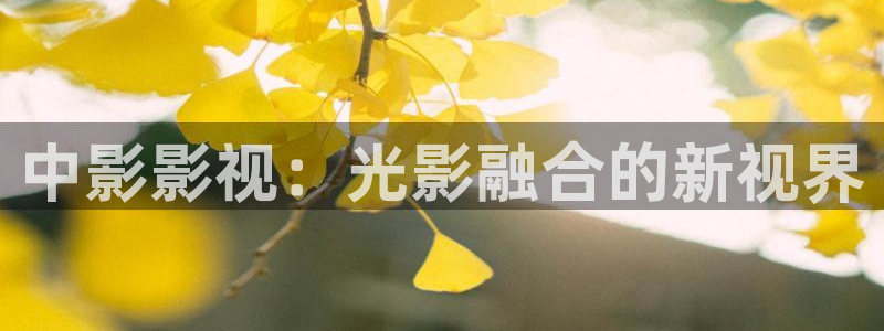 新视觉私人网