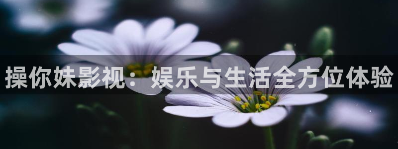 新视觉影院黄色