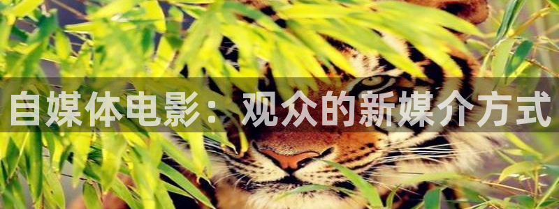 新视觉6029