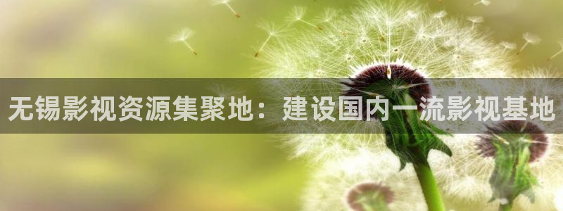 6080网新视觉