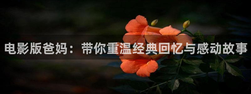 6080新视觉摄影