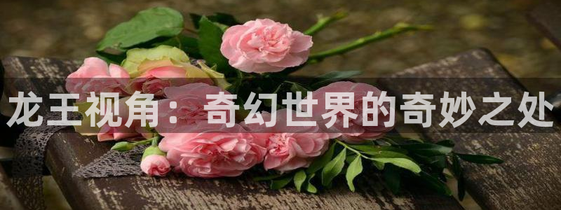 6029新视觉影院