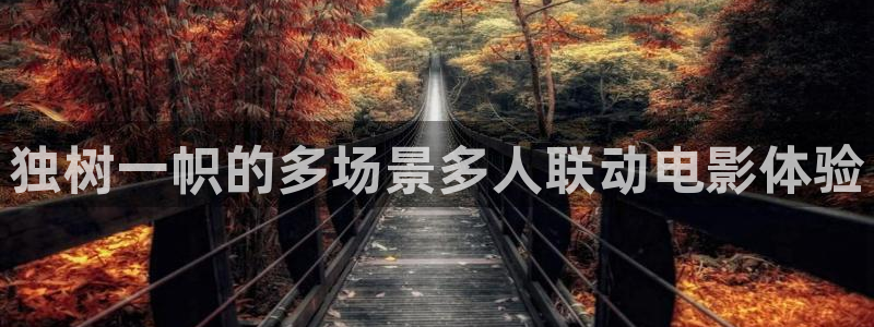 新视觉眼镜