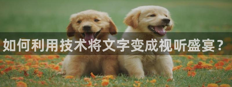 新视觉无名电影