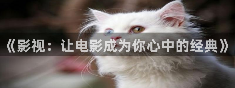 a4yy新视觉