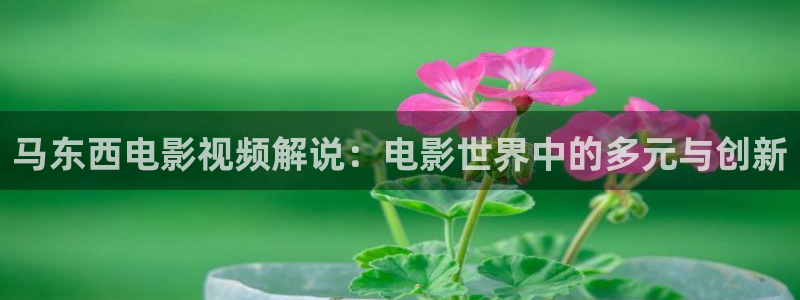 新视觉影院yy608