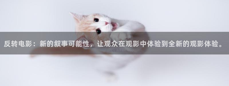 新视觉2025