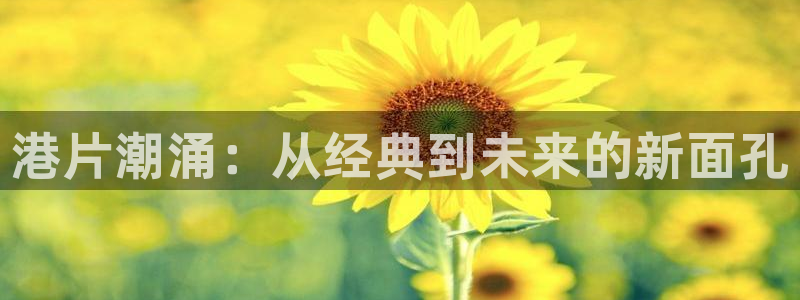 6080新视觉电影理论电视剧在线