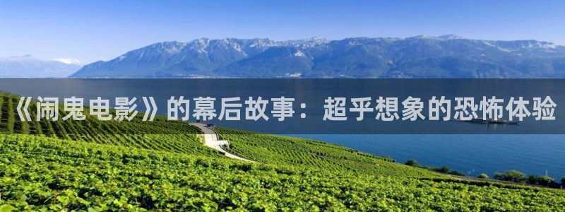 高清新视觉节目单