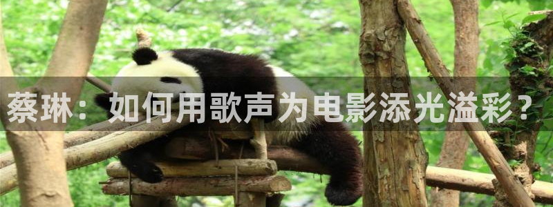 影院新视觉