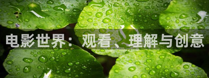 8060新视觉影院