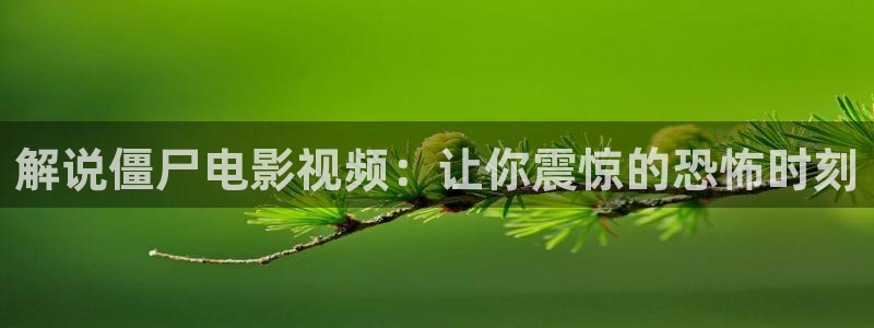 6080新视觉电影免费播放伦理