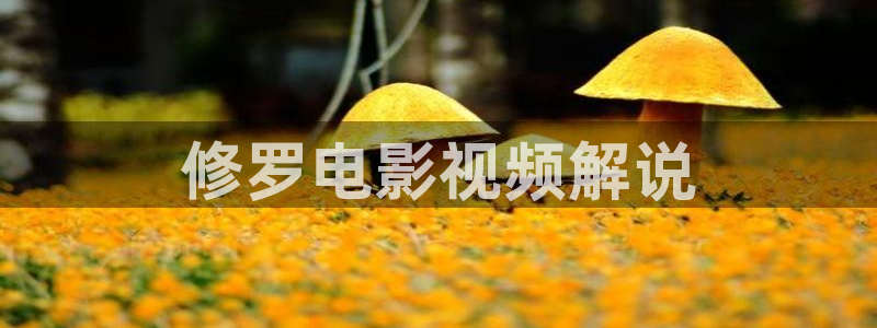 6080新视觉电影免费观看