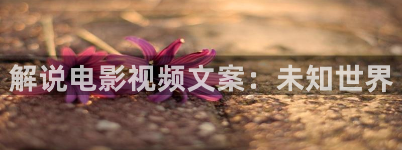 6029新视觉剧在线看免费