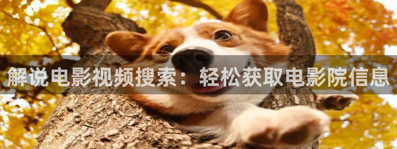 4080新视觉影视大全电影免费观看