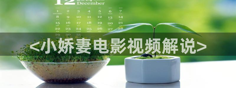 新视觉镜片