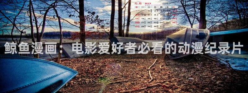 4480新视觉伦理