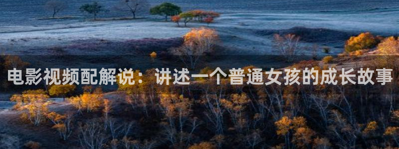 新视觉0