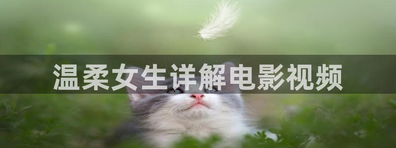y6080新视觉电影免费播放