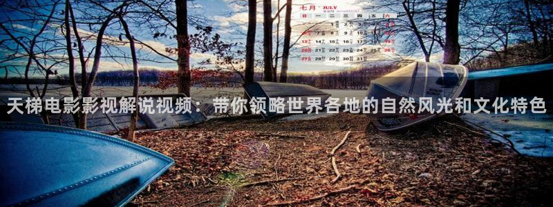 yy6080新视觉影院伦理片