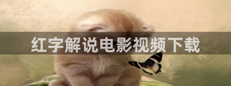 飘花影院新视觉影院特片网天堂影院