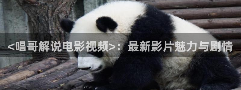 影院新视觉：<唱哥解说电影视频>：最新影片魅力与剧情