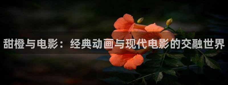 6080新视觉影院神马影院：甜橙与电影：经典动画与现代电影的交融世界
