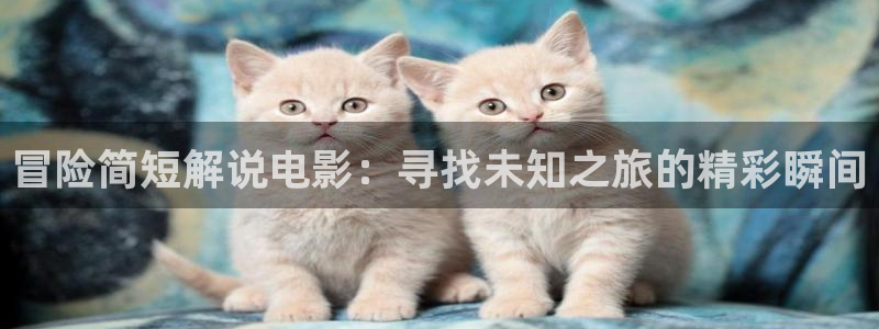 新视觉视觉视：冒险简短解说电影：寻找未知之旅的精彩瞬间