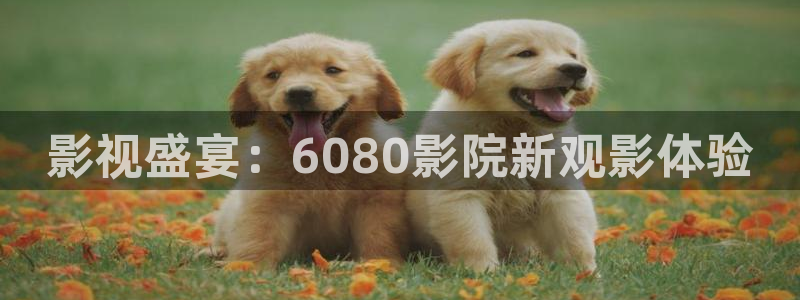 6090新视觉电影理论电视剧在线观看：影视盛宴：6080影院新观影体验