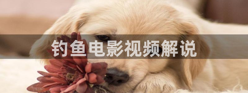 yy4480新视觉影院：钓鱼电影视频解说