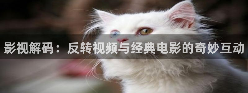 新视觉八戒影院：影视解码：反转视频与经典电影的奇妙互动