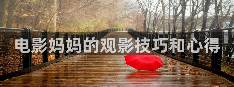 新视觉影院午夜私人：电影妈妈的观影技巧和心得