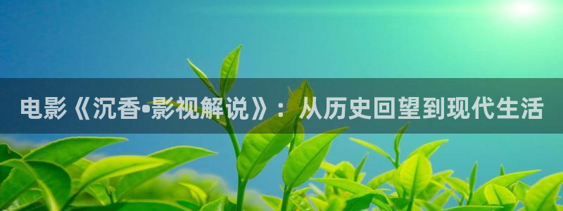 新视觉yy6080高清电视剧在线：电影《沉香•影视解说》：从历史回望到现代生活