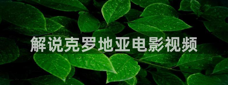 飘零影院新视觉：解说克罗地亚电影视频