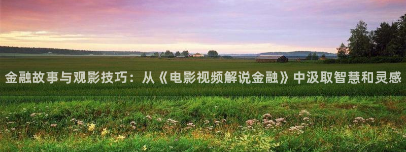 6080影院新视觉6080：金融故事与观影技巧：从《电影视频解说金融》中汲取智慧和灵感