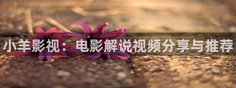 新视觉影院在：小羊影视：电影解说视频分享与推荐