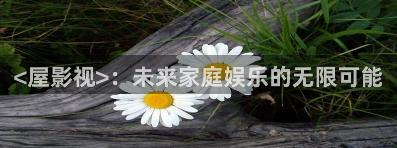影院新视觉：<屋影视>：未来家庭娱乐的无限可能