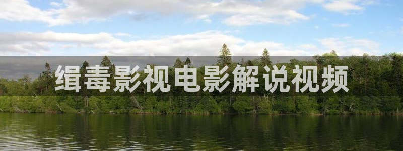 新视觉在线电影：缉毒影视电影解说视频