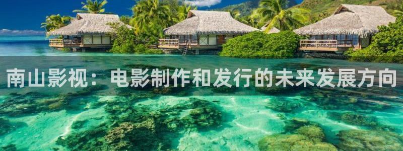 新视觉6080官网下载：南山影视：电影制作和发行的未来发展方向
