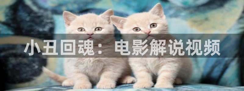 未来影院新视觉：小丑回魂：电影解说视频