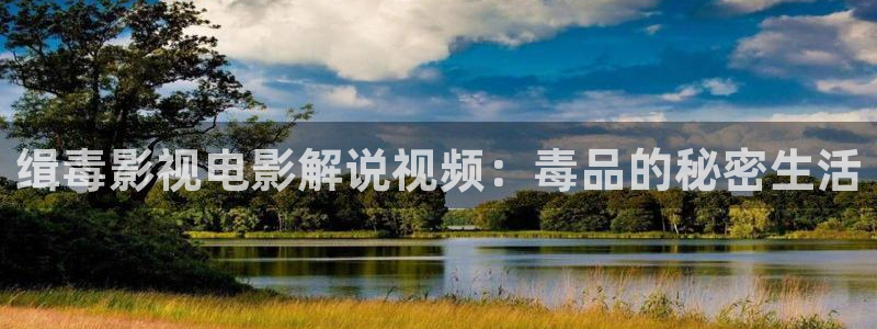 6090新视觉理论电视剧：缉毒影视电影解说视频：毒品的秘密生活