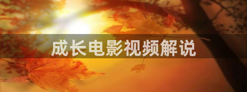 6080新视觉影视官网：成长电影视频解说