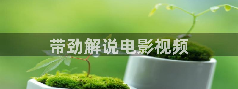新视觉6080高清电视剧2024在线观看：带劲解说电影视频