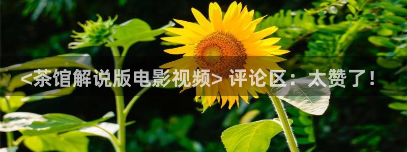 新视觉英超：<茶馆解说版电影视频> 评论区：太赞了！