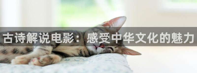 6080新视觉免费播放：古诗解说电影：感受中华文化的魅力