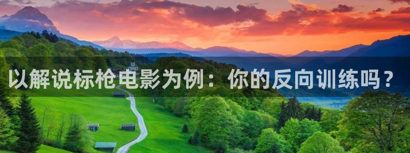 新视觉播放器：以解说标枪电影为例：你的反向训练吗？