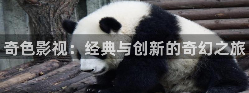 yy4080新视觉电影电视剧观看平台：奇色影视：经典与创新的奇幻之旅