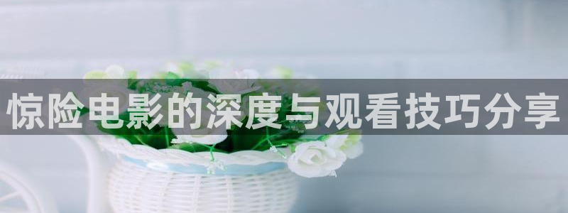 yy6080新视觉电影电视剧在线观看：惊险电影的深度与观看技巧分享